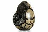 Septarian Dragon Egg Geode - Sparkly Black Crystals #348448-1